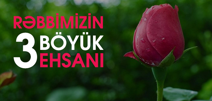 RƏBBİMİZİN ÜÇ BÖYÜK EHSANI